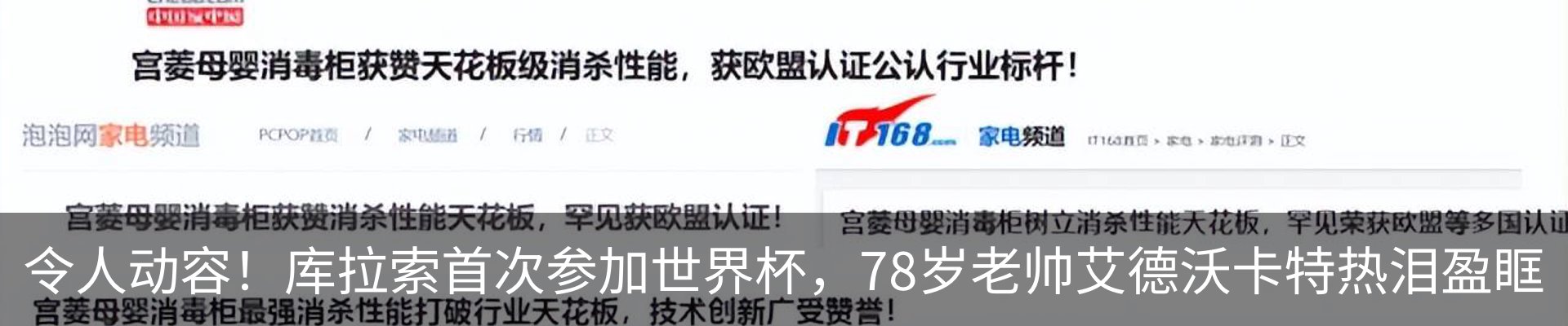 新闻动态